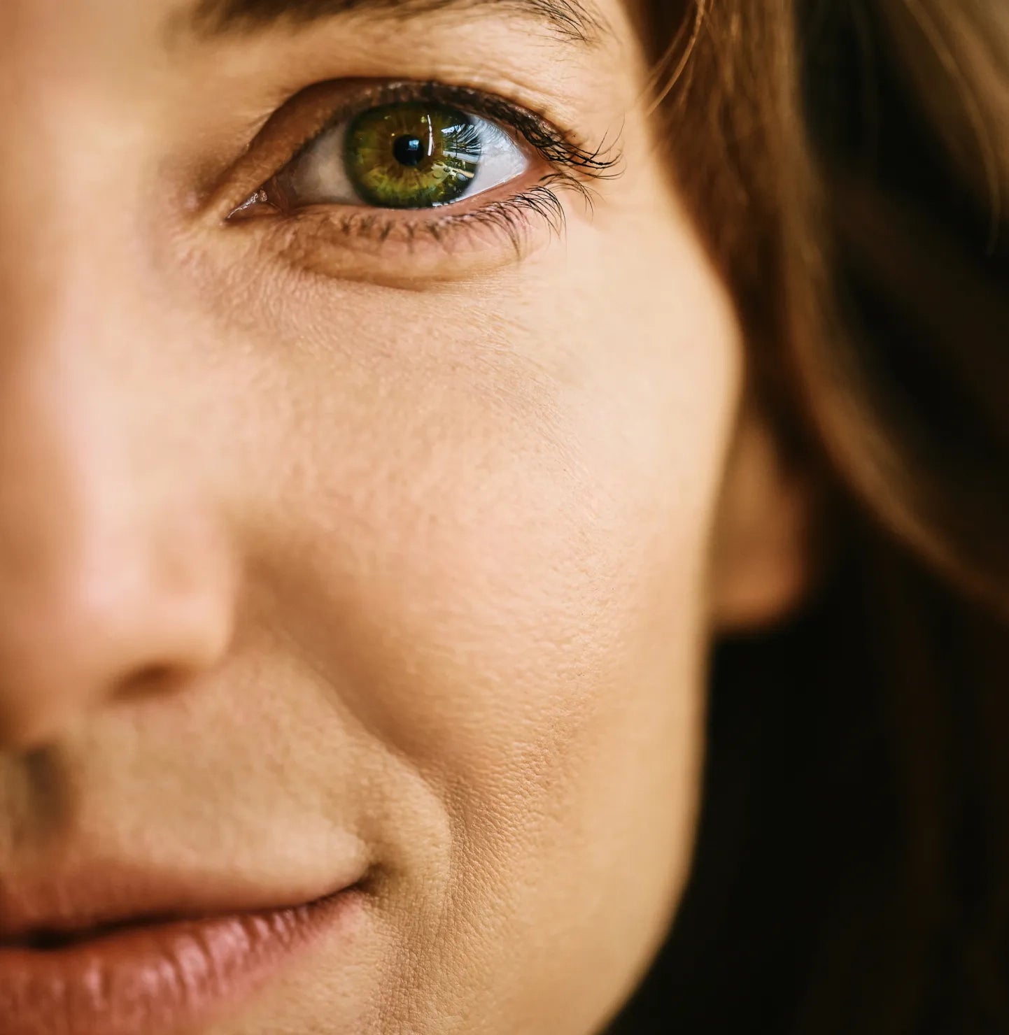 Awake+ Protein Lion’s Mane Matcha Latte – REBBL, Inc.